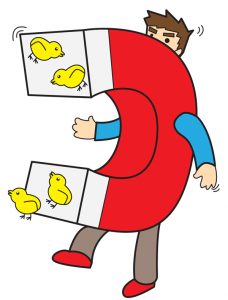 Magnet