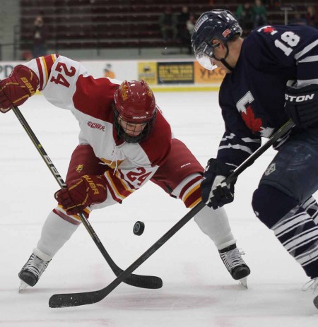 Swept Series: Freshman center Dom Panetta attempts to win a face off against Toronto. The Bulldogs swept the series against St. Lawrence the weekend of Oct. 7-8 to start the season undefeated. Photo By: Brock Copus | Multimedia Editor Swept Series: Freshman center Dom Panetta attempts to win a face off against Toronto. The Bulldogs swept the series against St. Lawrence the weekend of Oct. 7-8 to start the season undefeated. Photo By: Brock Copus | Multimedia Editor